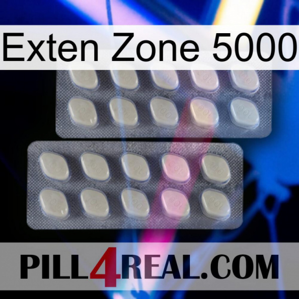 Exten Zone 5000 07.jpg